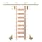 Meadow Lane Ladder 107 in. Pre-Finished Oak Brass Finish Hook with 8 ft. Rail Kit EG.300-107RO-08.06-PF - alternate 1